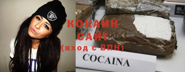 индика Абинск