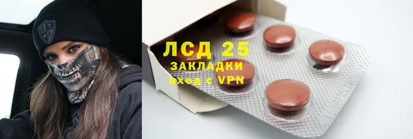индика Абинск