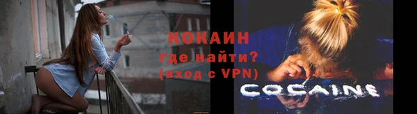 индика Абинск
