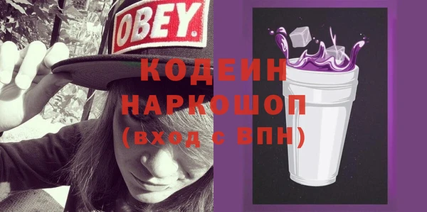 индика Абинск
