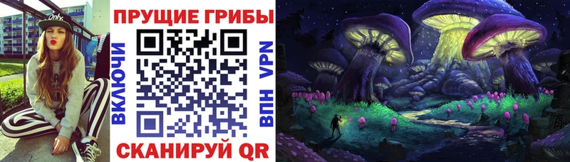 наркота Ядрин Псилоцибиновые грибы мицелий